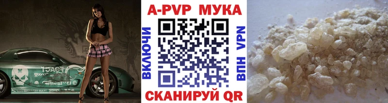 Alfa_PVP СК КРИС  Балей 