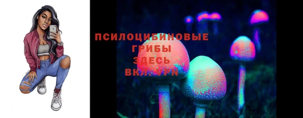 прущие крисы Белокуриха