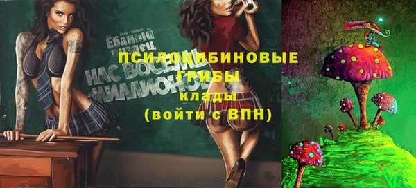 прущие крисы Белокуриха
