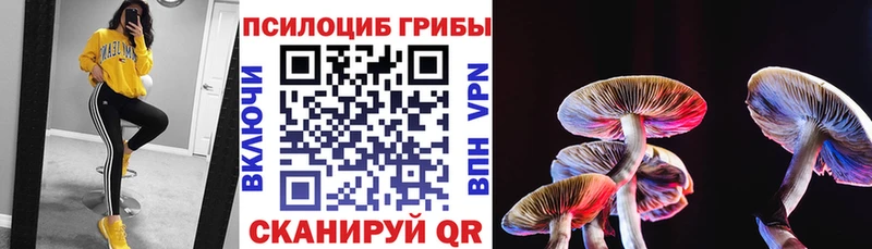 hydra как зайти  Балей  Псилоцибиновые грибы Magic Shrooms  купить  цена 